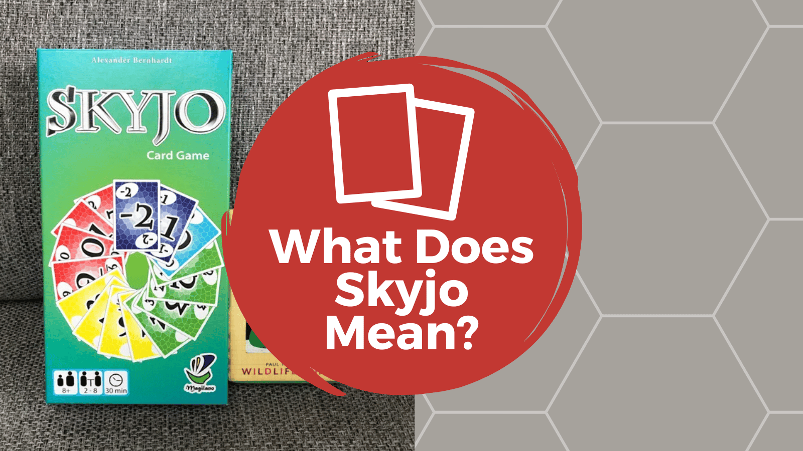 Skyjo Meaning: What Does This Funny Word Mean?